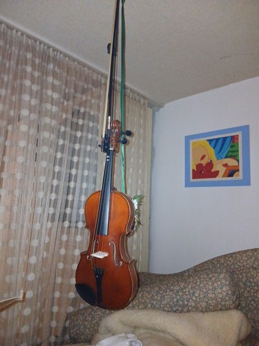 Violine geige mit - 4/4,